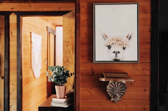 TOP RATED Boho Mountain Retreat: Pet-Friendly!